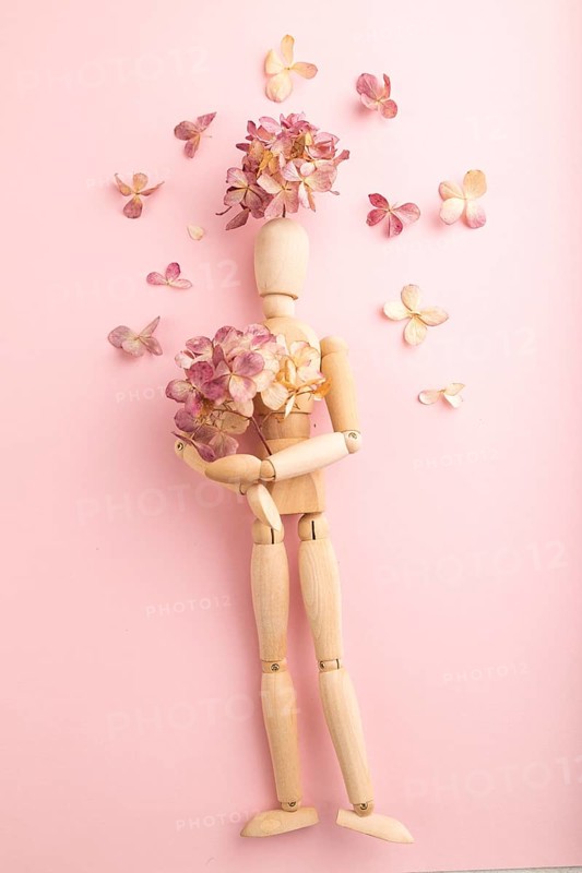 Wooden mannequin holding hydrangea flowers on pink pastel background. close up, isolated, spring, gardening concept