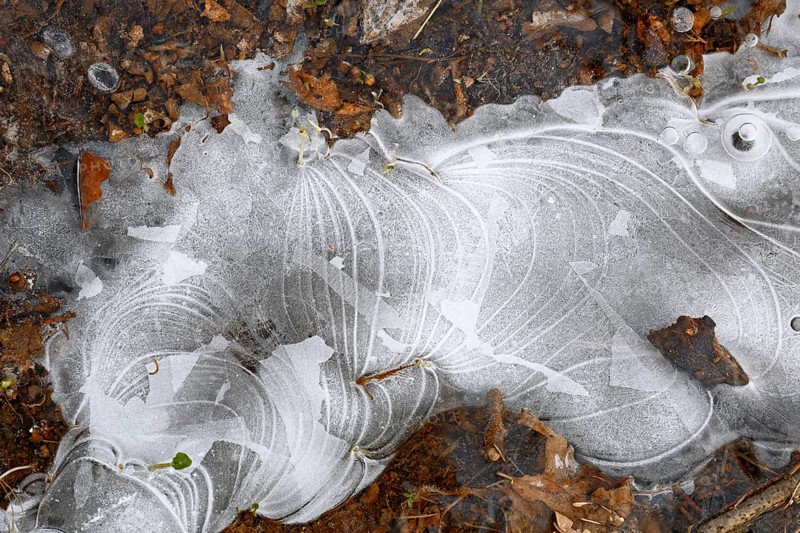 Winter flood 2024 on the rivers Elbe and Mulde with flooding of the meadows, close-up of ice structures on the meadows due to flooding in winter, bizarre ice formations, Middle Elbe Biosphere Reserve, Dessau-Roßlau, Saxony-Anhalt, Germany, Europe