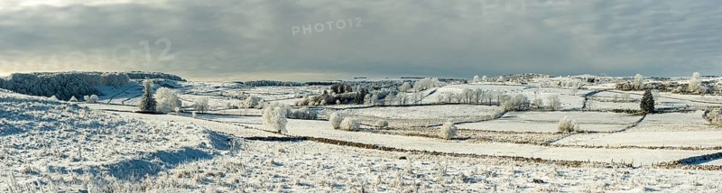 Aubrac plateau in winter. Lozere departement. Occitanie. France
