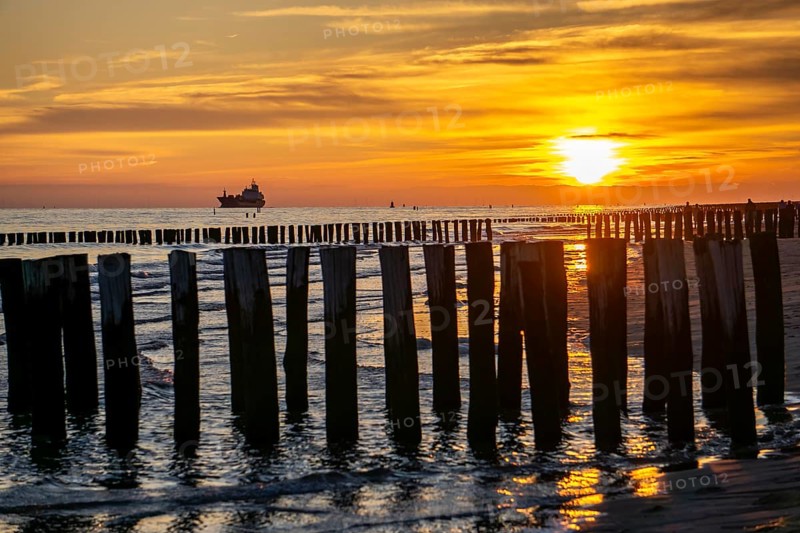 Sunset on the beach of Zoutelande, beach with wooden pile breakwaters, cargo ship sailing towards the Westerschelde, Zeeland, Netherlands