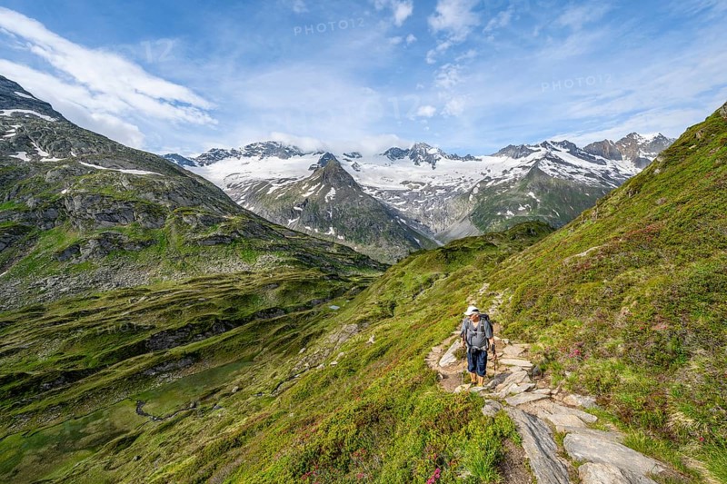 Mountaineer on hiking trail in picturesque mountain landscape, mountain peak with snow and glacier Hornkees and Waxeggkees, summit Hornspitzen and Großer Möseler, Berliner Höhenweg, Zillertal Alps, Tyrol, Austria, Europe