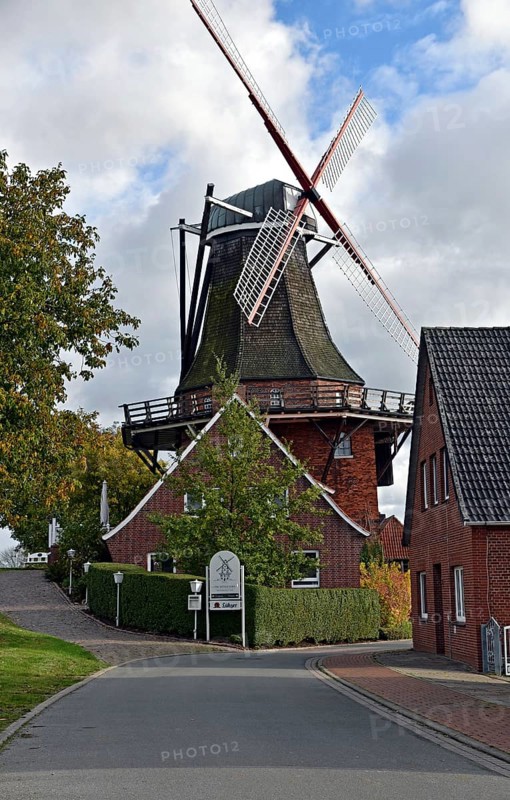 Europe, Germany, Lower Saxony, Hamburg metropolitan region, Altes Land, Stade district, Jork-Borstel, Galerie-Holländer windmill Aurora on the Elbe dyke, built in 1856, Europe