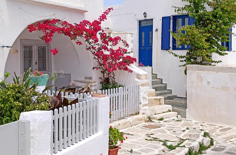 Alley with bougainvillea or bougainvilleas (Bougainvillea), Parikia, Paros, Clyclades, Greece, Europe