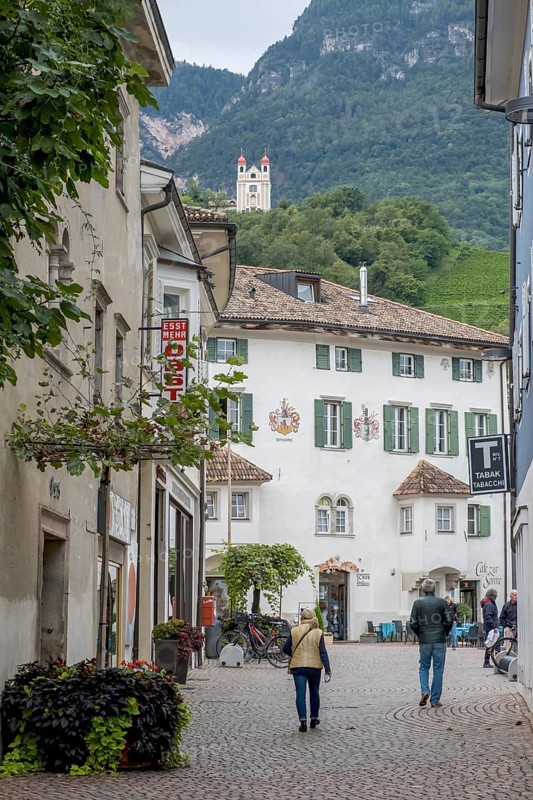 Alley in Eppan, on the mountainside the Gleifkirche, Eppan, South Tyrolean Wine Road, South Tyrol, Italy, Europe