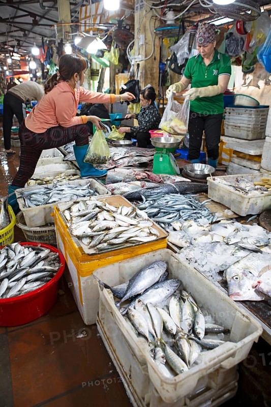 Fresh fish for sale, Cat Ba town market, Cat Ba Island, Halong Bay, Vietnam, Asia