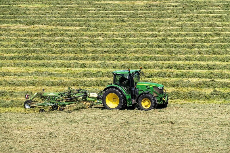 Hay harvest, in a meadow near Duisburg-Baerl, tractor with roundabout tedder, a hay tedder that piles up the cut grass in strips so that it can later be picked up and utilised, North Rhine-Westphalia, Germany, Europe