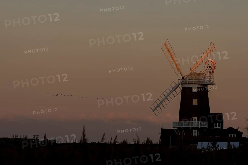 Windmill at sunset with a red sky and a skein or flock of Pink-footed geese (Anser brachyrhynchus) flying above, Cley-next-to-the-sea, Norfolk, England, United Kingdom, Europe