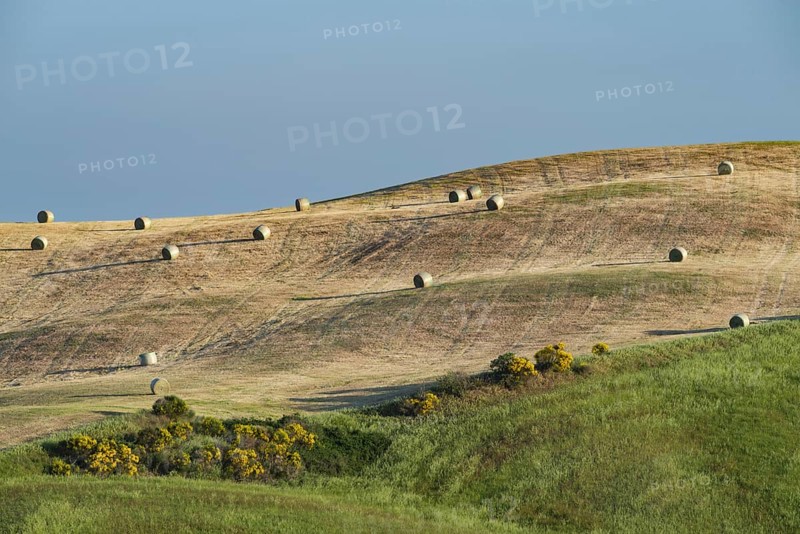 Harvested wheat field with bales of straw, landscape around Pienza, Val d'Orcia, Orcia Valley, UNESCO World Heritage Site, Province of Siena, Tuscany, Italy, Europe