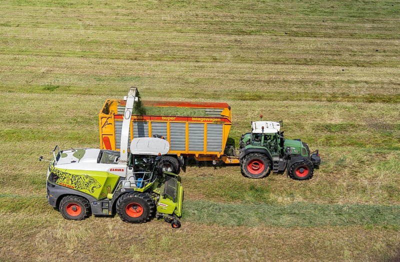 Hay harvest, on a Rhine meadow near Duisburg-Beeckerwerth, a forage harvester picks up the cut grass, which was piled up in strips after cutting, and loads it into a silage wagon, cattle feed, North Rhine-Westphalia, Germany, Europe