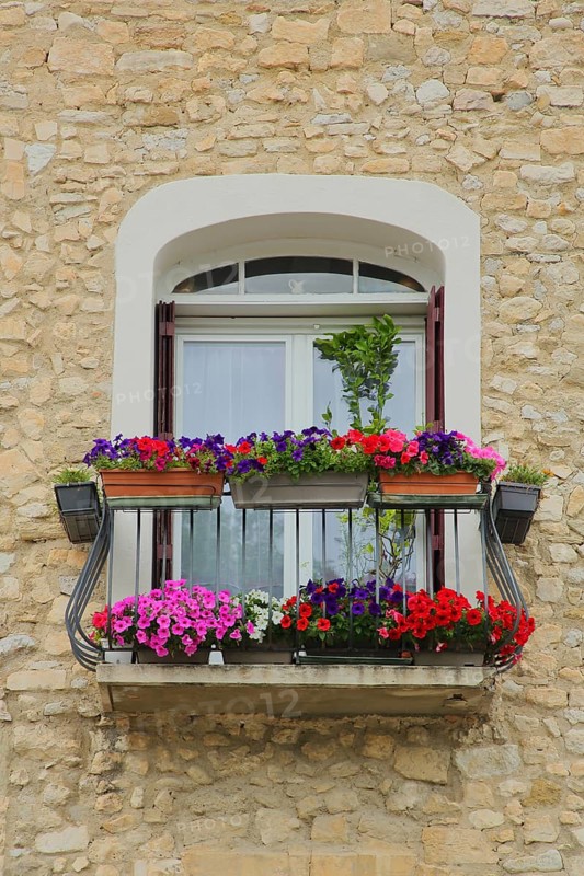 Window with floral decoration, shutters, one, balcony railing, idyll, house wall, Pernes-les-Fontaines, Vaucluse, Provence, France, Europe