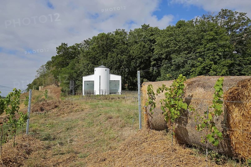 Hildegardis Chapel with bales of straw and grapevines, Disibodenberg Monastery, Hildegard of Bingen, pilgrimage route, Odernheim am Glan, Rhineland-Palatinate, Germany, Europe