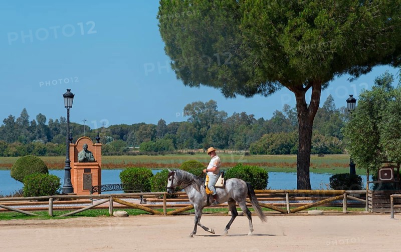 Ein Mann reitet auf einem Pferd in einem Parkbereich nahe eines Sees mit einer Statue im Hintergrund, Nationalpark Coto de Doñana, Wallfahrtsort, El Rocío, Rocío, Rocio, Huelva, Andalusien, Spanien
