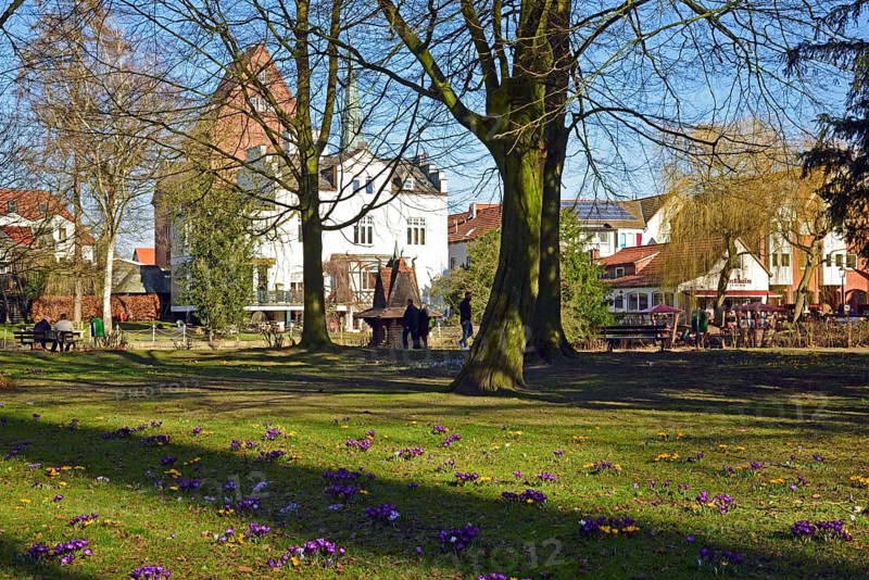 Europe, Germany, Lower Saxony, Buxtehude, Hamburg metropolitan region, City park in spring, Bird house in the pond, Flower meadow, Hamburg, Hamburg, Federal Republic of Germany, Europe