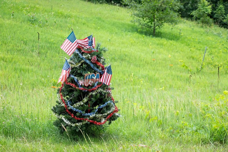 Yankee Springs Twp., Michigan, A pine tree, decorated as a patriotic Christmas tree, in summer on the side of a road in Yankee Springs Recreation Area