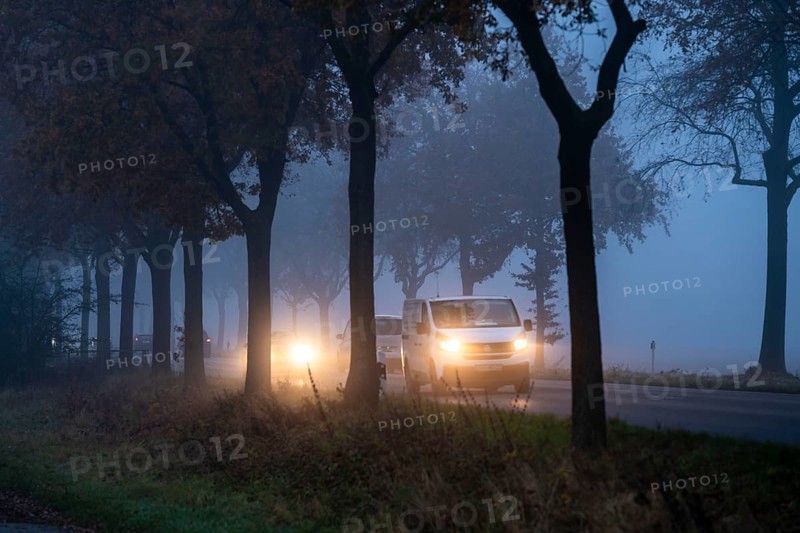 Country road B 57 near Erkelenz, autumn, fog, rainy weather, tree-lined avenue, wet road, North Rhine-Westphalia, Germany, Europe