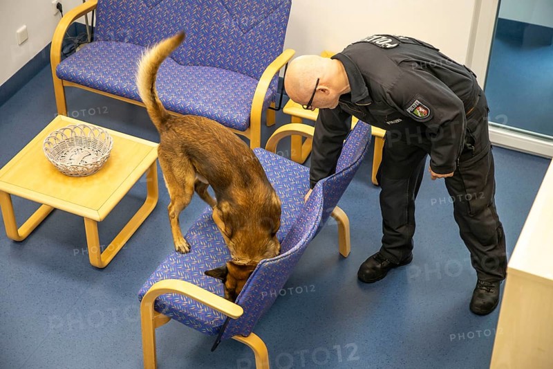 Data storage sniffer dog of the North Rhine-Westphalia police, here in a training flat, training institute, the dogs can sniff out data carriers such as USB sticks, hard drives, memory cards, Neuss, North Rhine-Westphalia, Germany, Europe
