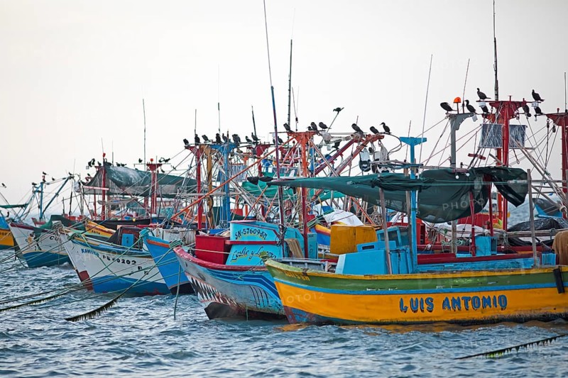 Colourful fishing boats in the bay of Paracas, Reserva Nacional de Paracas, Ica region, Pisco province, Peru, South America