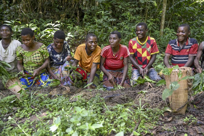 Pygmies of the Baka or BaAka people swear to hunt, hunting magic, net hunting, Dzanga-Sangha Special Dense Forest Reserve, Sangha-Mbaéré Prefecture, Central African Republic, Africa
