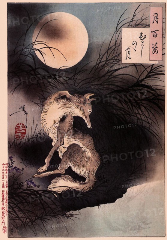 Tsukioka Yoshitoshi (1839 - 9 June 1892) one of the last great masters of the classical Japanese colour woodcut, here the work Musashi Plain Moon