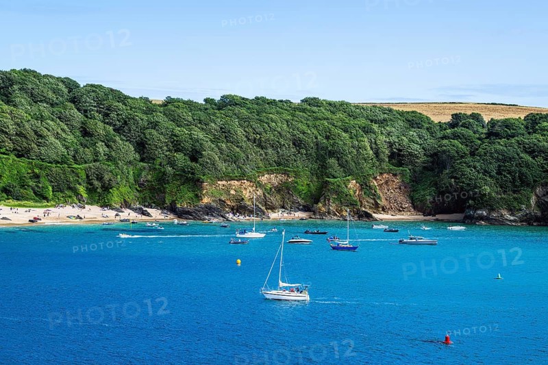 Boats and Yachts on Kingsbridge Estuary in Salcombe and Mill Bay, Batson Creek, Southpool Creek, Devon, England, United Kingdom, Europe