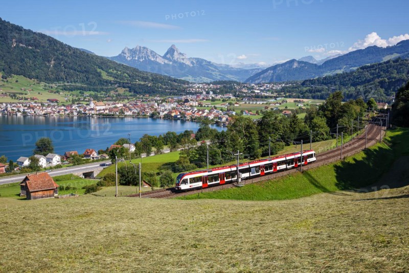 Stadler Flirt railway passenger train of the Swiss Federal Railways SBB on the Großer Mythen mountain on Lake Zug in the Alps in Arth, Switzerland, Europe