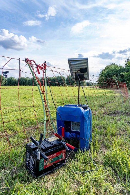 Electric pasture fence, designed to prevent molluscs, here sheep, from touching and climbing over the fence, they receive a slight electric stimulus, power supply via a car battery, solar charger, North Rhine-Westphalia, Germany, Europe