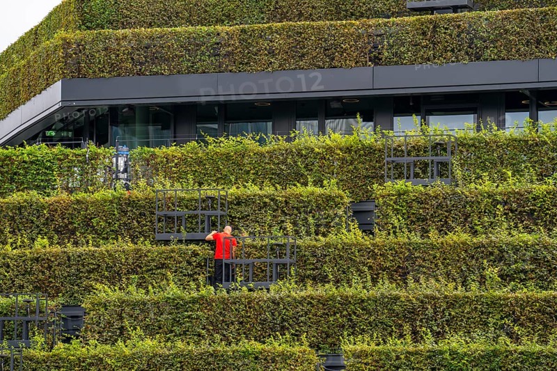 Green façade, made of over 30, 000 hornbeams forming a hedge a good 8 kilometres long, on the roof and façade of the Kö-Bogen-2 building, technician, gardener working on the façade, largest green façade in Europe, Düsseldorf North Rhine-Westphalia, Germany, Europe