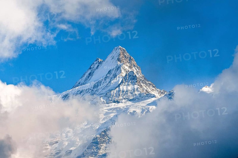 Swiss Alps, view from First to Schreckhorn, 4048 m, fog, summer, First, Grindelwald, Bernese Oberland, Bern, Switzerland, Europe