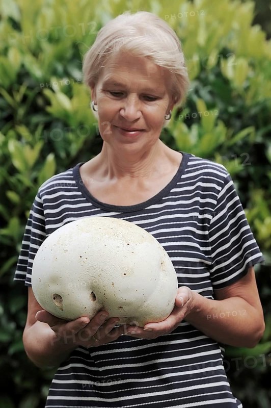 Woman with Giant puffball (Langermannia gigantea, Calvatia gigantea), North Rhine-Westphalia, Germany, Europe