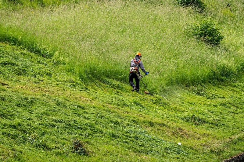 Landscape maintenance, high grass, cutting at a business, gardener, landscape maintenance, cutting grass with a brush cutter, Germany, Europe
