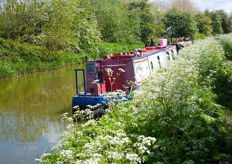 Kennet and Avon canal stretch between All Cannings and Alton Barnes, Vale of Pewsey, Wiltshire, England, United Kingdom, Europe