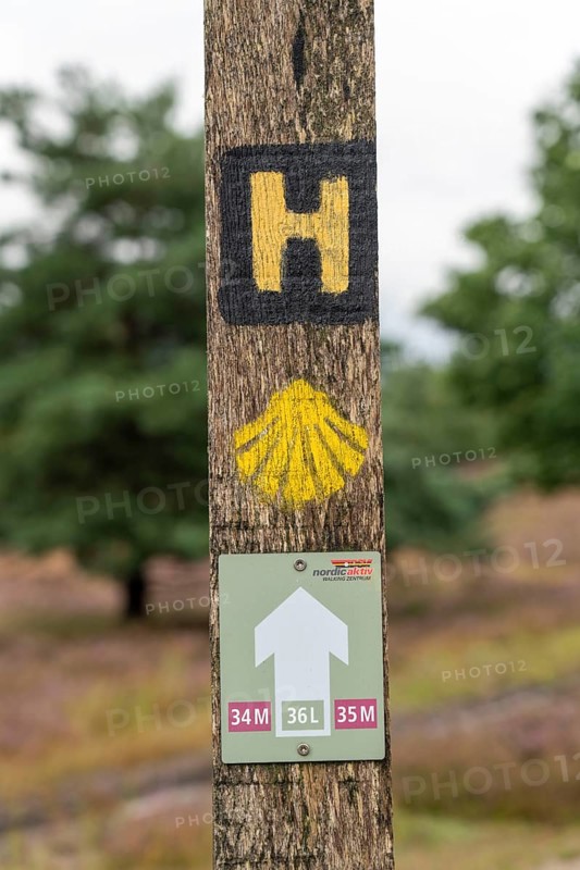 The Osterheide, in the Lüneburg Heath nature reserve, hiking sign, hiking trail, near Schneverdingen, Lower Saxony, Germany, Europe