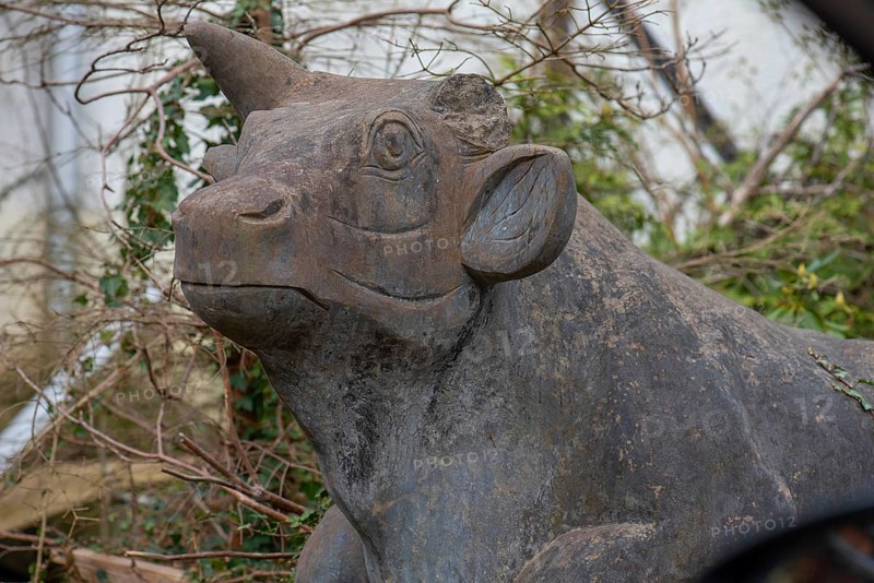 Sculpture of an ox, Siegen, North Rhine-Westphalia, Germany, Europe