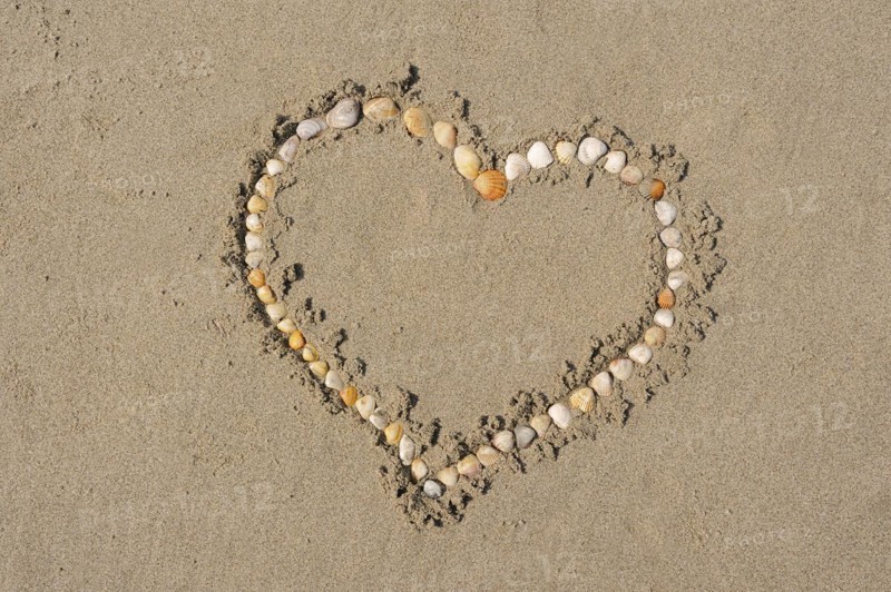 Heart made of mussel shells on the beach, Camargue, Provence, South of France