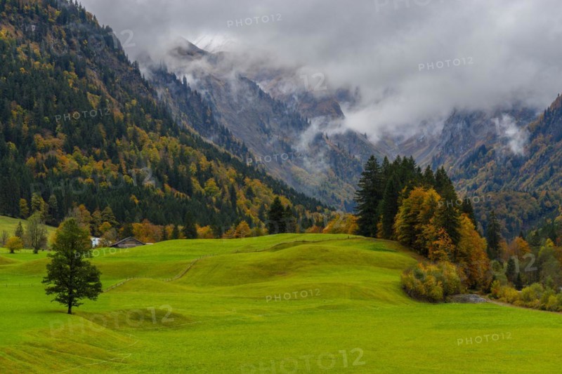 Autumn in the Trettachtal, near Oberstdorf, Oberallgäu, Allgäu, Bavaria, Germany, Europe