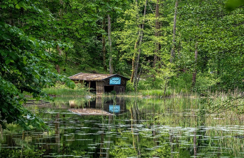 Small pond with dilapidated wooden shed in the water, Bad Reichenhall, Bavaria, Germany, Europe