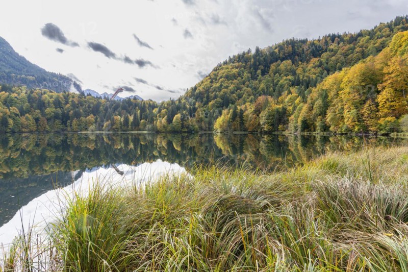 Freibergsee lake in autumn, behind it the Heni-Klopfer ski jump, Allgäu Alps, Allgäu, Bavaria, Germany, Europe