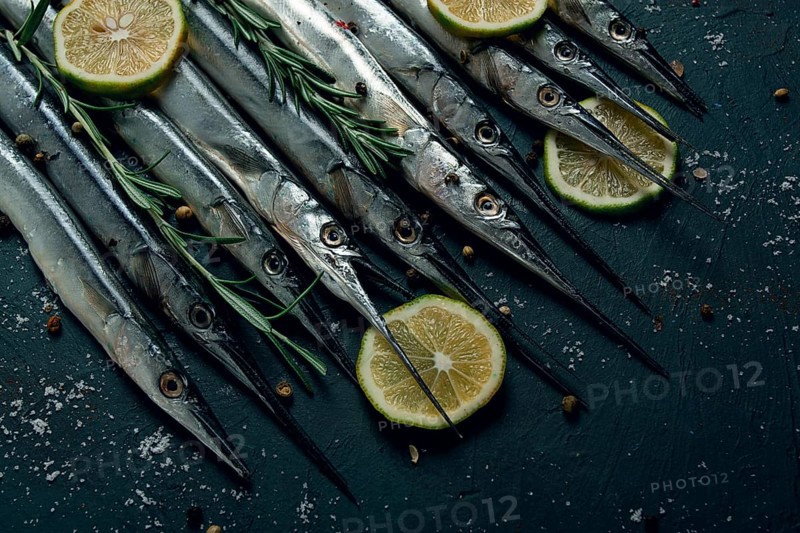 Fresh, Black Sea fish. raw, sargan, sea pike, top view, no people