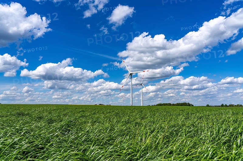 Wind farm, wind turbine, wind turbines from the manufacturer Enercon, blue sky with many white clouds, between Schermbeck and Dorsten, country road, Bestener Straße, North Rhine-Westphalia, Germany, Europe