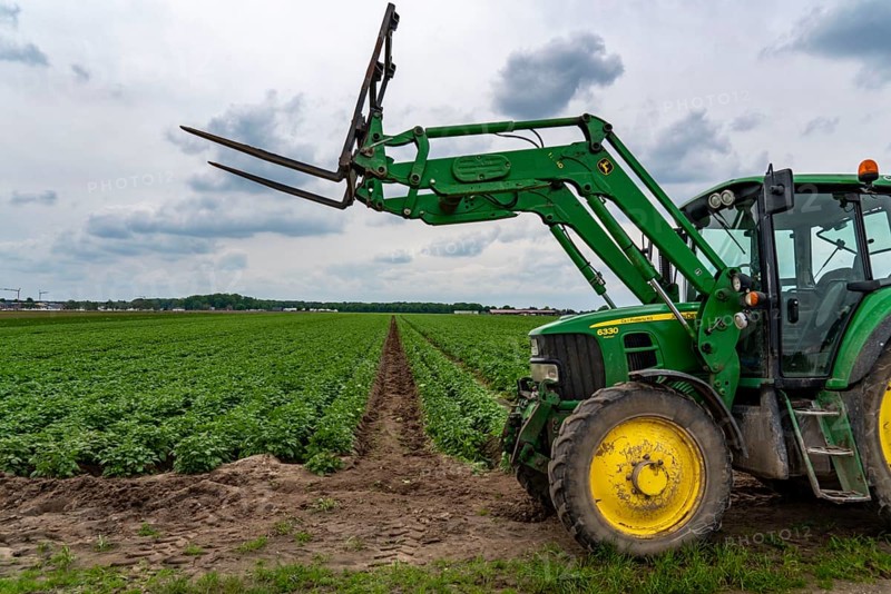 Potato field, potato ridges, early potatoes, 6 weeks after planting, just over 3 weeks to harvest, tractor, North Rhine-Westphalia, Germany, Europe