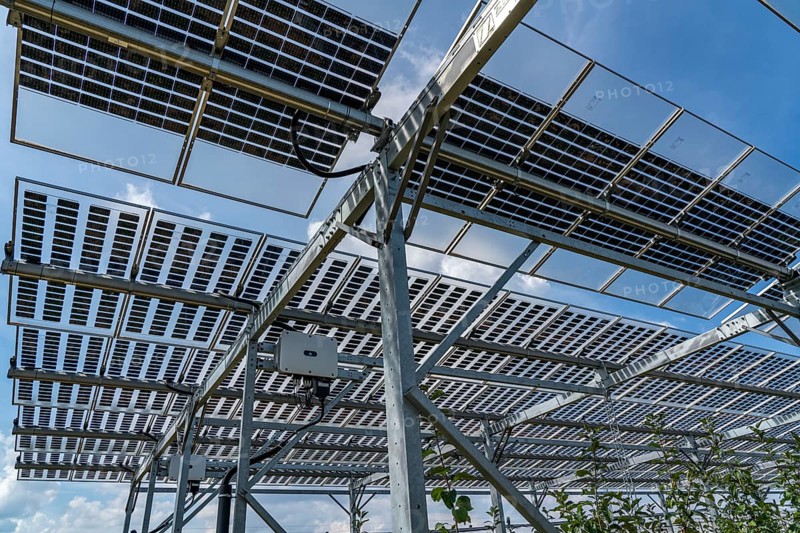 Agri-photovoltaic test plant, an apple orchard with two different systems of PV modules was roofed over 3000 square metres, rain and sunlight comes through, at the same time protection against hail and heavy rain, next to it are the same trees but without a solar roof, as a comparison object, how the PV roof affects the trees and harvest, the field test is accompanied by the Fraunhofer Institute for Solar Energy Systems ISE, in Grafschaft-Gelsdorf, Rhineland-Palatinate, Germany, Europe