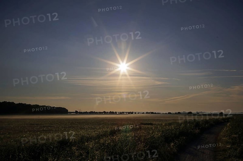 The sun rises over a field near Born am Darß. Born, 31.07.2024