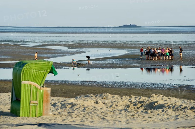 Hiker in the mudflats, Wyk, Föhr, North Frisia, Schleswig-Holstein, Germany, Europe
