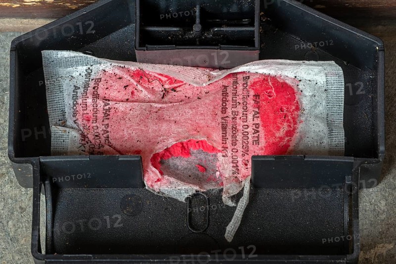 Open mouse bait station showing nibbling traces on bag with Brodifacoum rodenticide, poisonous paste as poison to exterminate mice in and around house