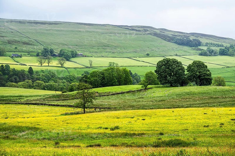 Farms over North Pennines, Cumbria, Durham, Northumberland, North Yorkshire, England, United Kingdom, Europe