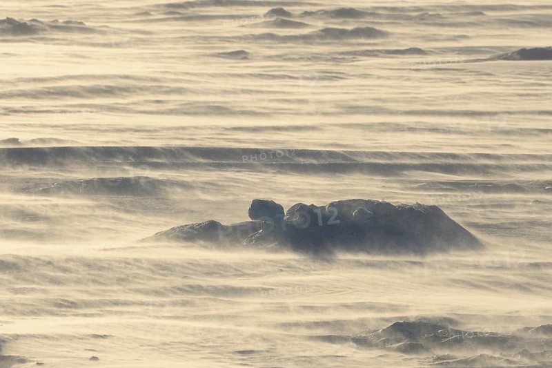 Pack ice with strong wind and flying snow, Snow hill island, Weddel Sea, Antarctic Peninsula, Antarctica