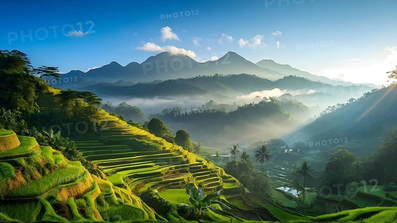 Early morning light bathes Philippines rice terraces cascading down mountain slopes, AI generated
