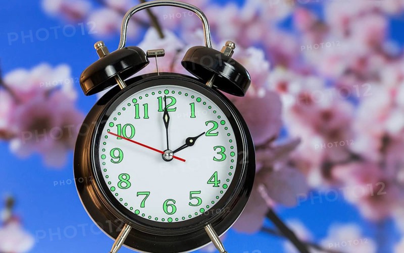 Symbolic image of the time change to summer time: close-up of an alarm clock in front of blooming almond blossoms