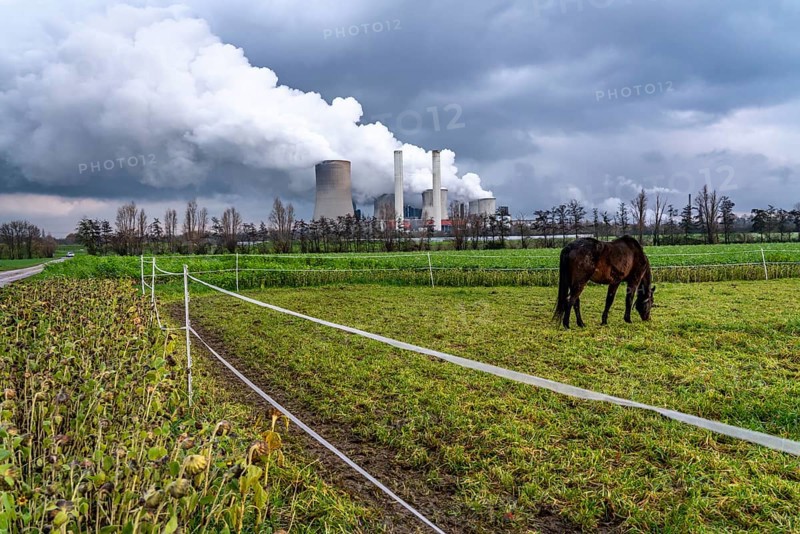 Paddock at the lignite-fired power station, RWE Power AG Niederaußem power station, near Bergheim, North Rhine-Westphalia, North Rhine-Westphalia, Germany, Europe