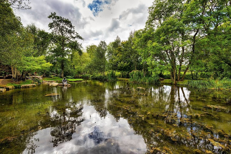 Pond in the Garden of St Fiachra, Gardens, Irish National Stud and Gardens, The Irish National Stud & Gardens, Tully, Kildare, Ireland, Europe